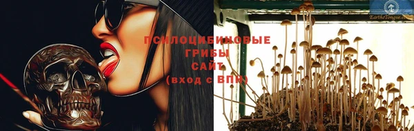 стаф Алексин