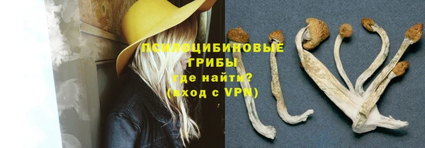 ALPHA-PVP Алексеевка