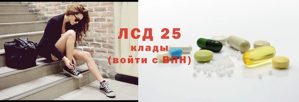 прущие грибы Алзамай
