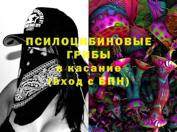 прущие грибы Алзамай