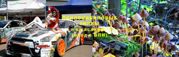 прущие грибы Алзамай