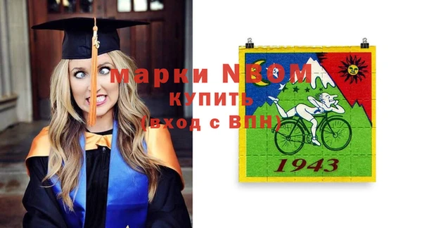 стаф Алексин