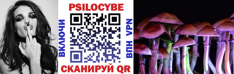 дарк нет наркотические препараты  Волоколамск  Галлюциногенные грибы Psilocybe  МЕГА ССЫЛКА 